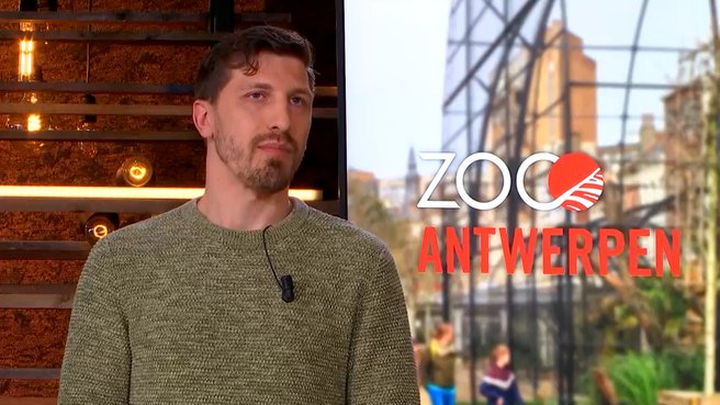 Jonas Spruyt, nieuwe dierenarts van de Zoo: “Chimpanees gooien soms met mest”