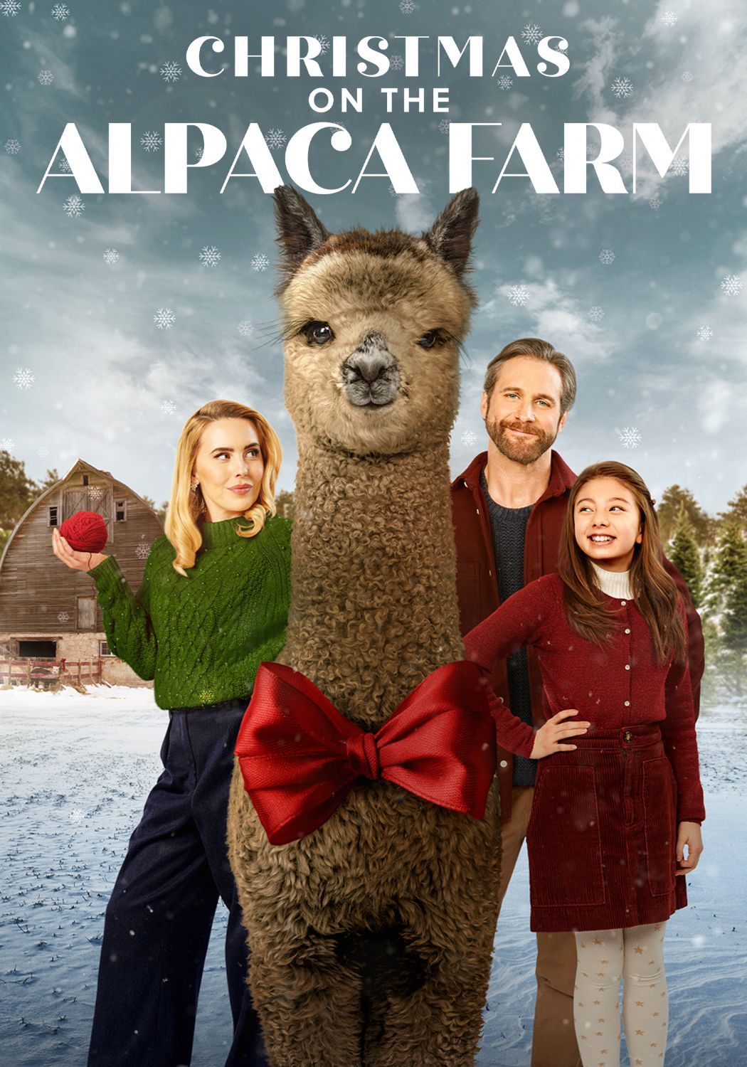 Christmas on the Alpaca Farm