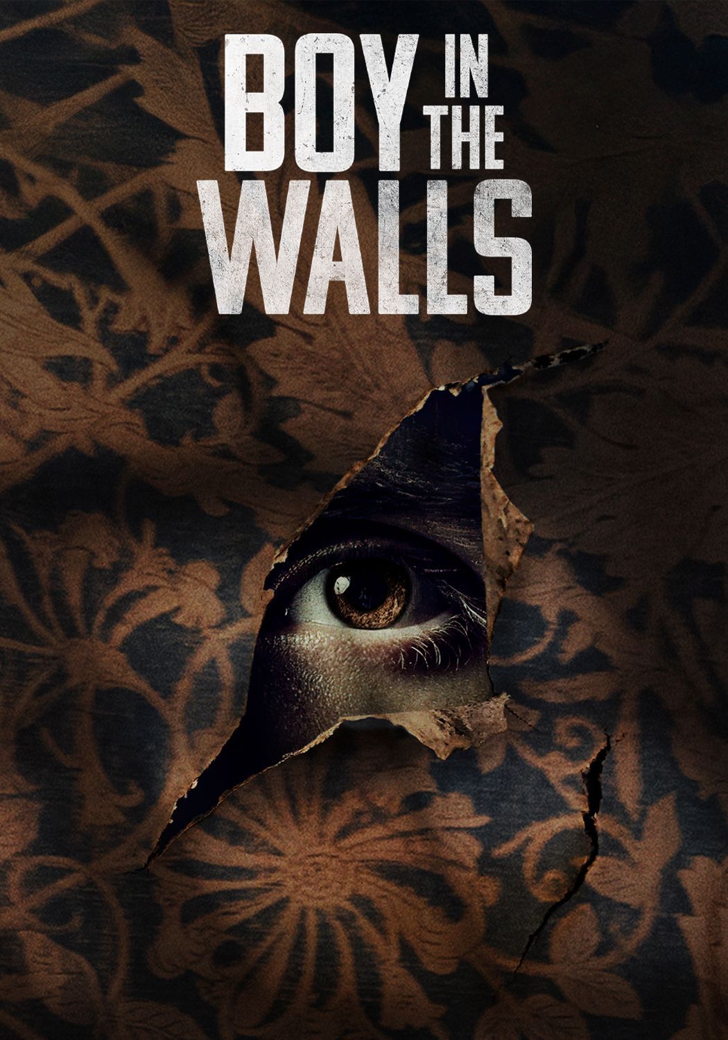 Boy In The Walls