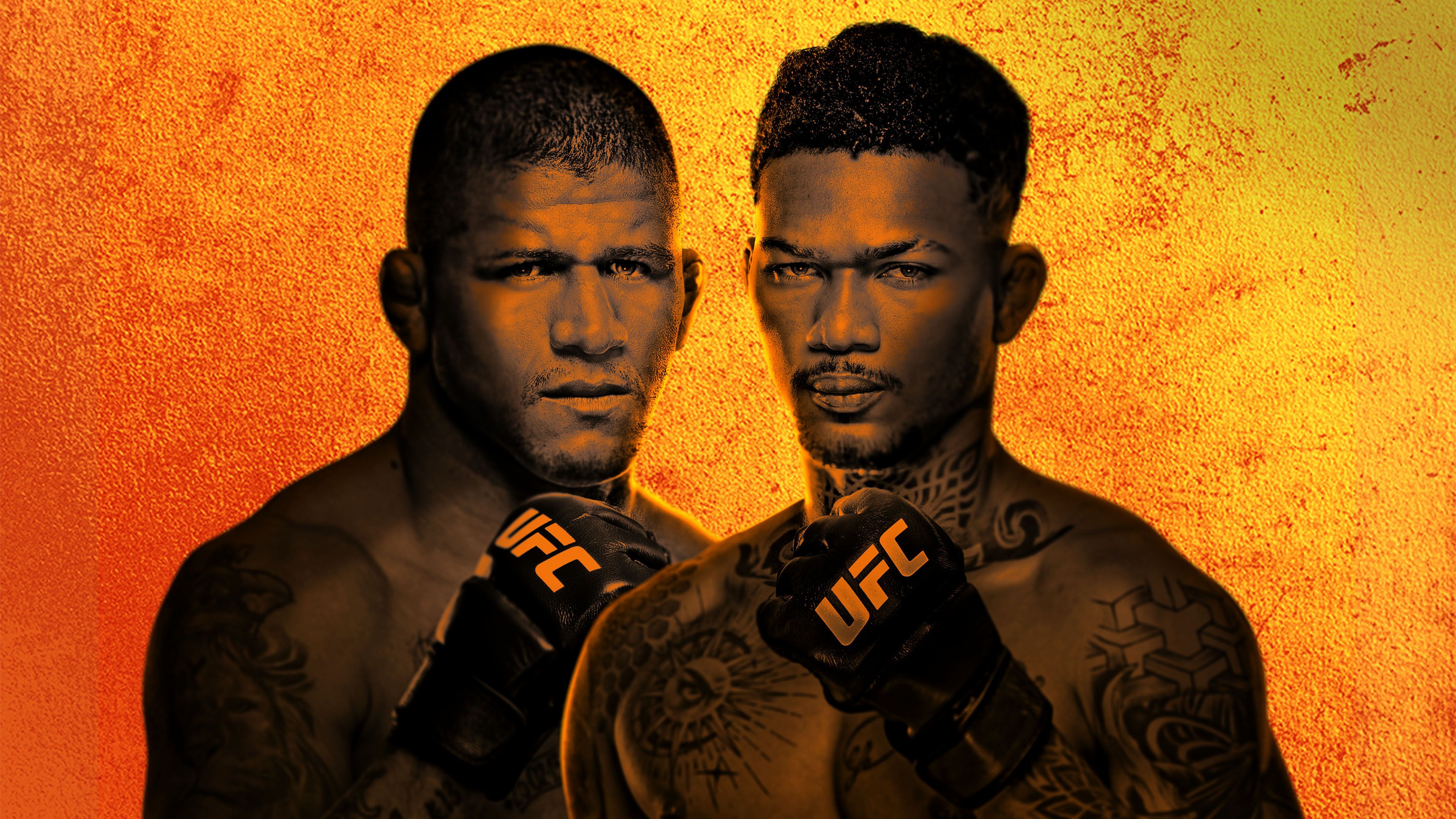 Hero - UFC Fight 17 mei 2025