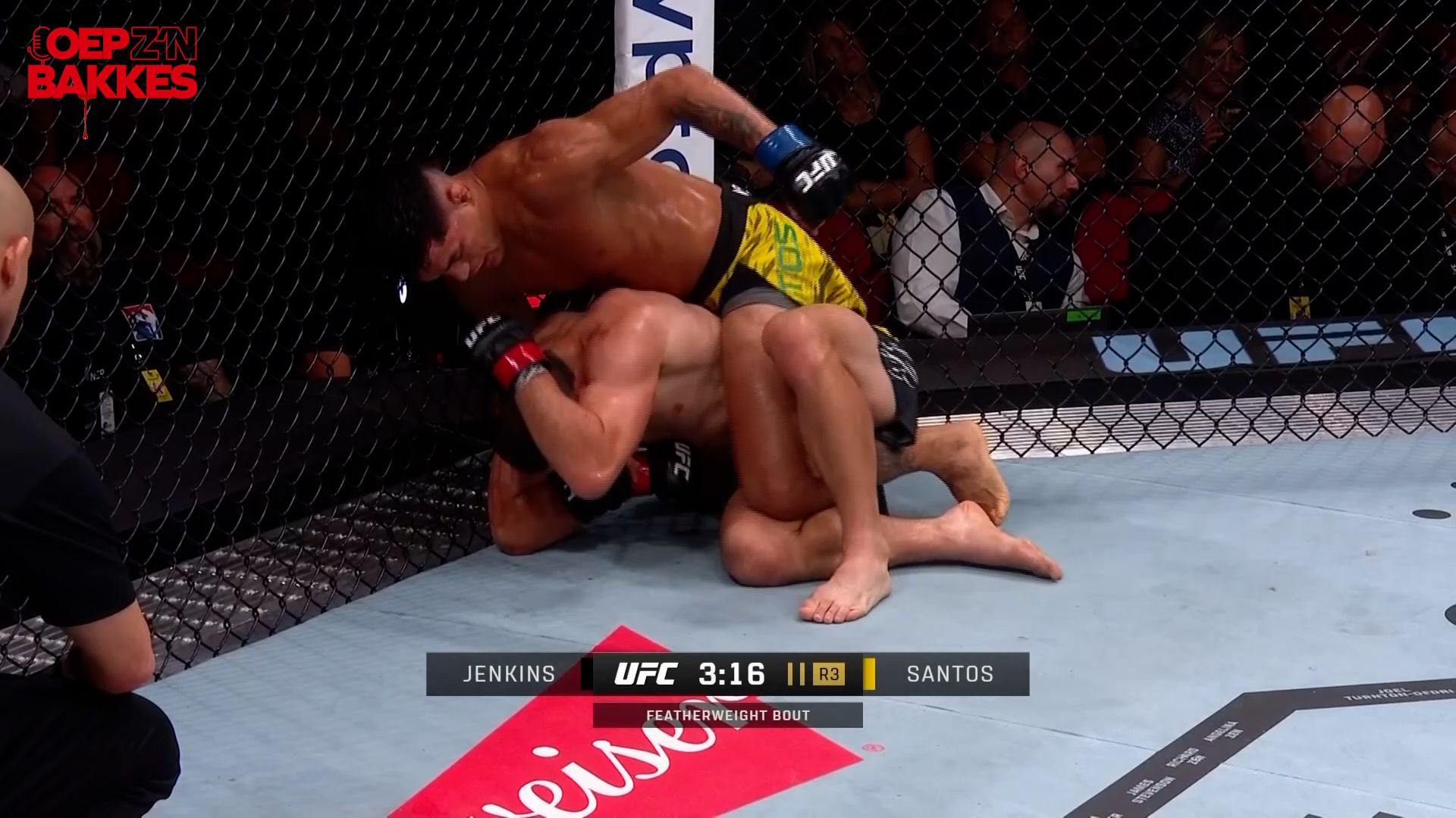 UFC 312: Prelims samenvatting Jenkins vs Santos