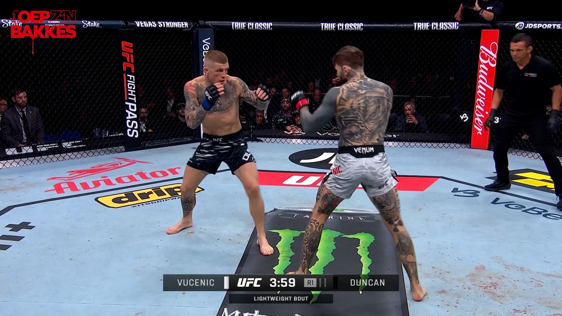 UFC Fight Night London : Vucenic vs Duncan