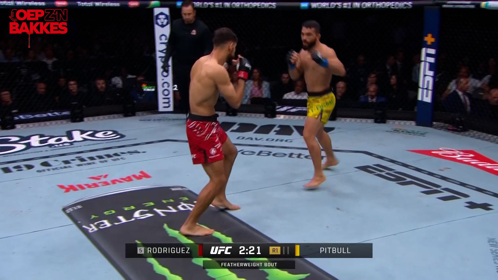 UFC 314: Samenvatting Rodriguez vs Pitbull