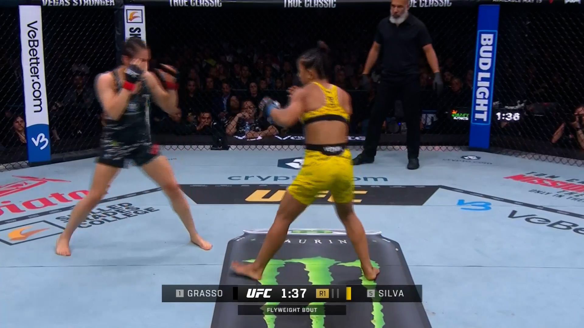 Samenvatting UFC 315: Alexa Grasso VS Natalia Silva
