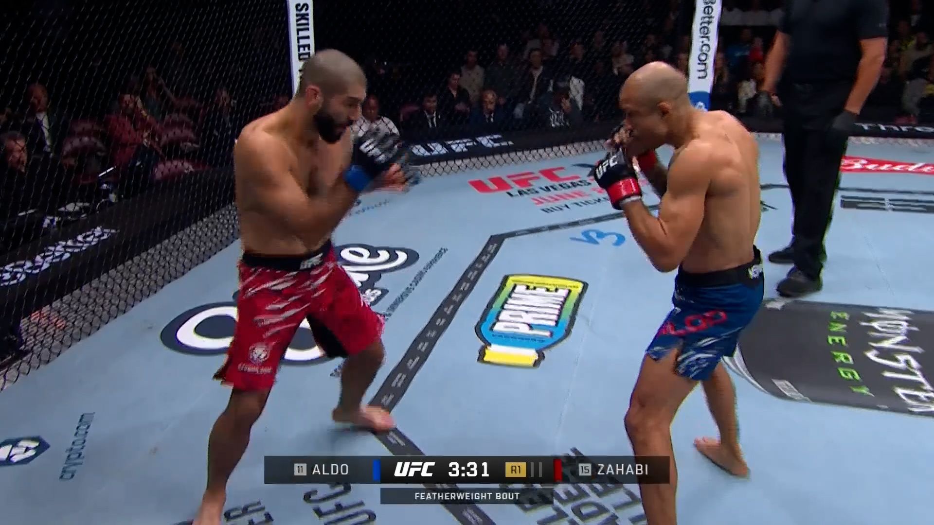 Samenvatting UFC 315: Jose Aldo VS Aiemann Zahabi