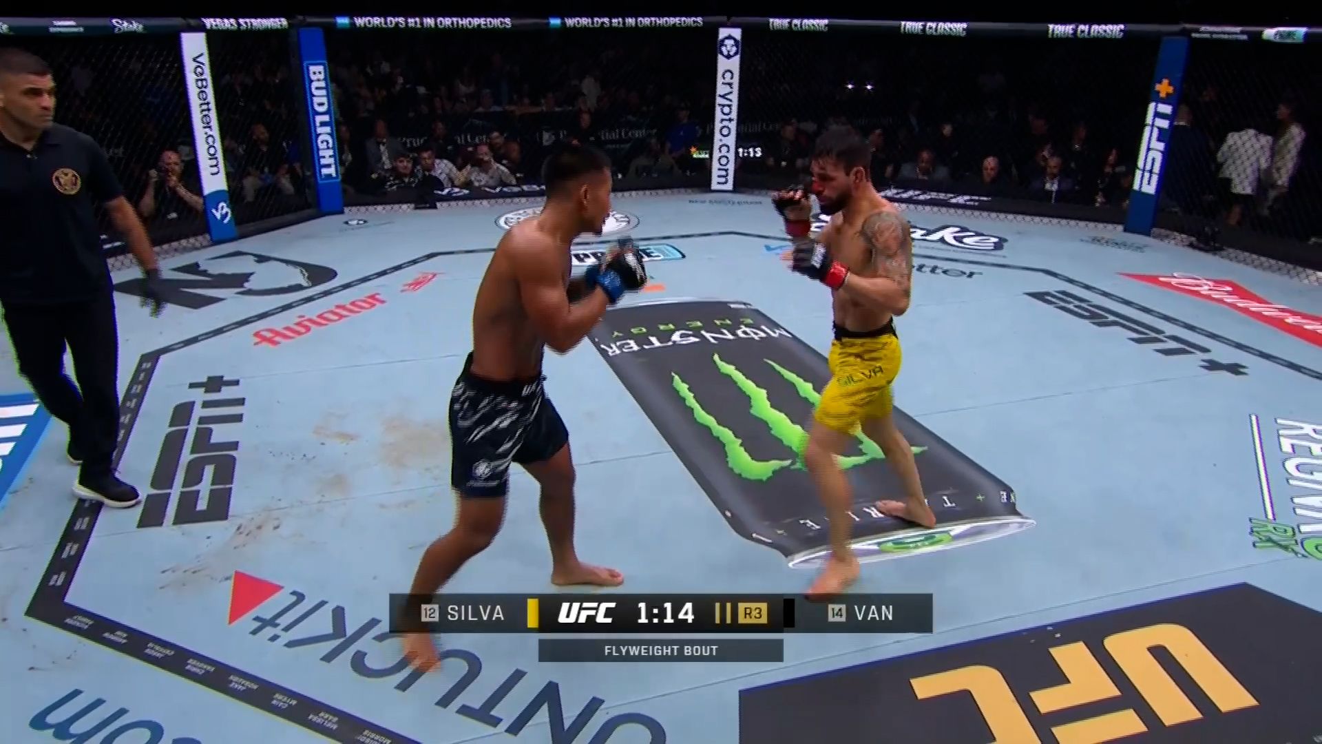 UFC 316 - VICENTE LUQUE VS KEVIN HOLLAND