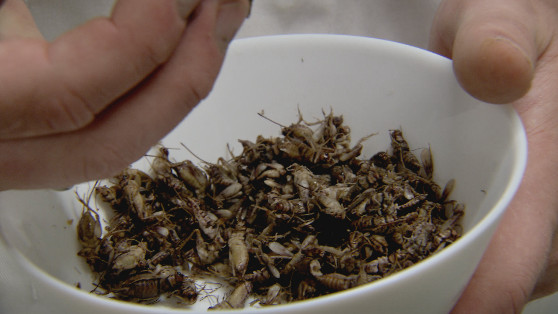 Komen Eten - Seizoen 18 - Aflevering 10