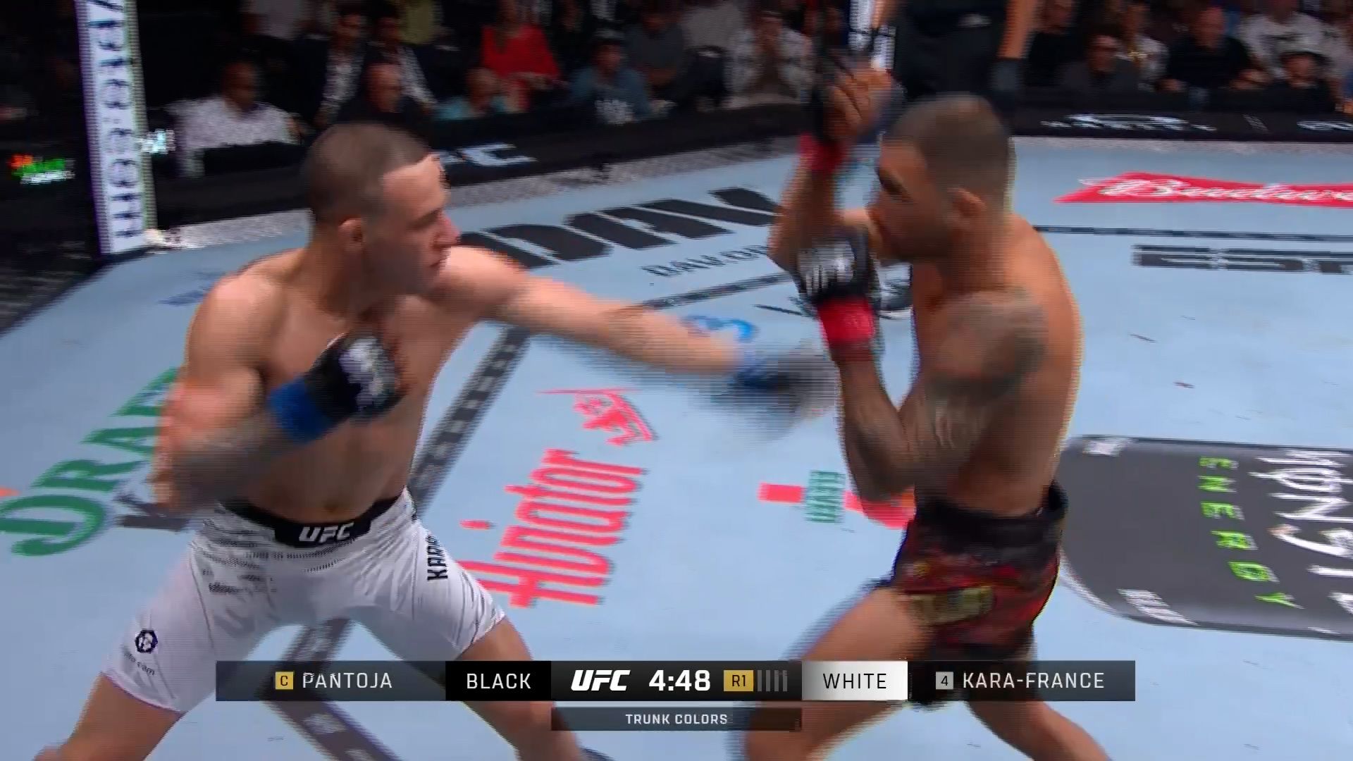 UFC 317: ALEXANDRE PANTOJA VS KAI KARA-FRANCE