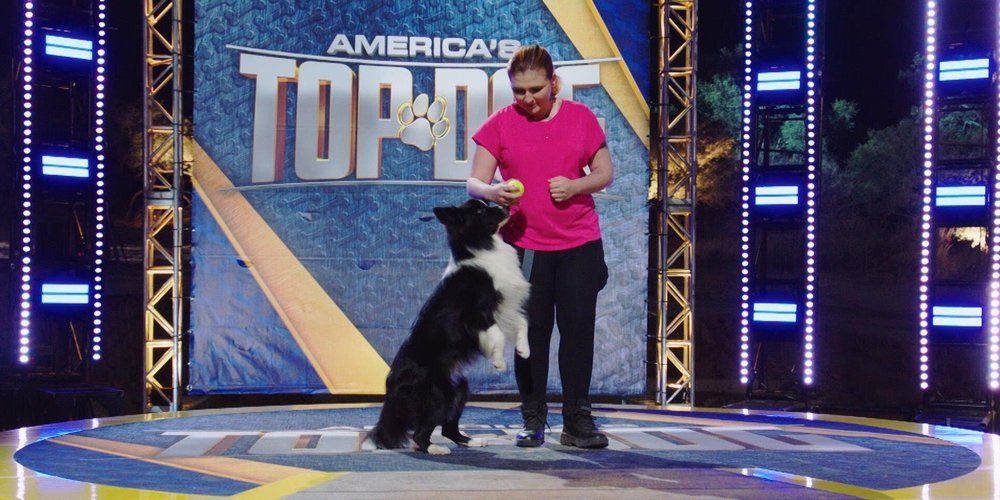 America's Top Dog - S2 - Aflevering 5