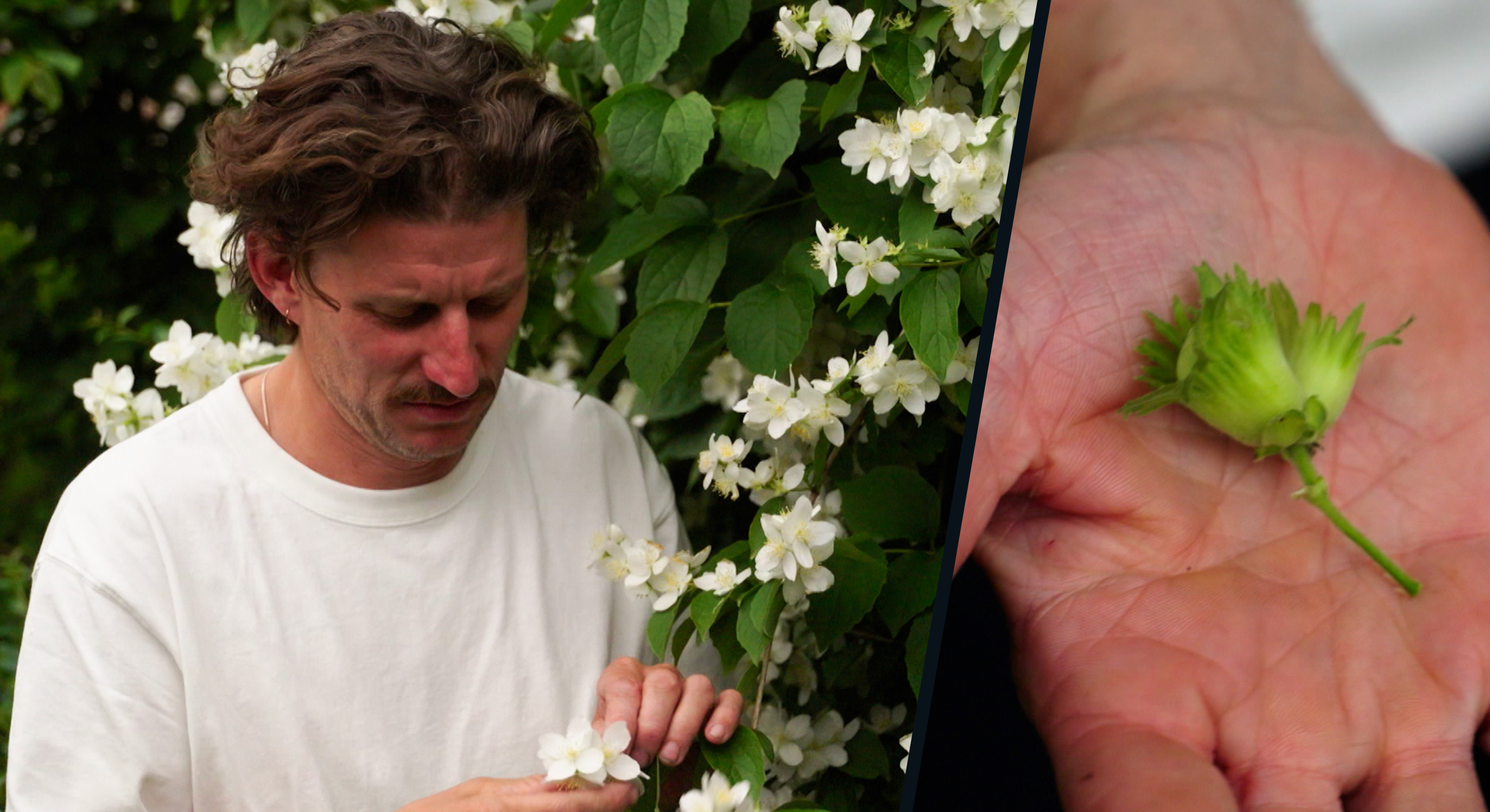 Natuurmens Titus De Voogdt plundert tuin van Linde Merckpoel: "Hij had geen hoofdgerecht meer nodig"