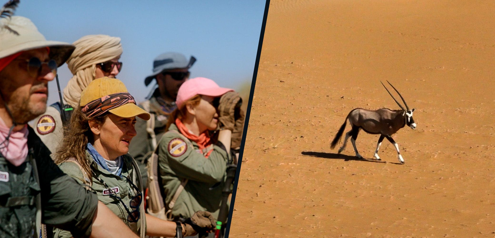 Magisch moment in de woestijn wanneer de groep plots een oryx spot