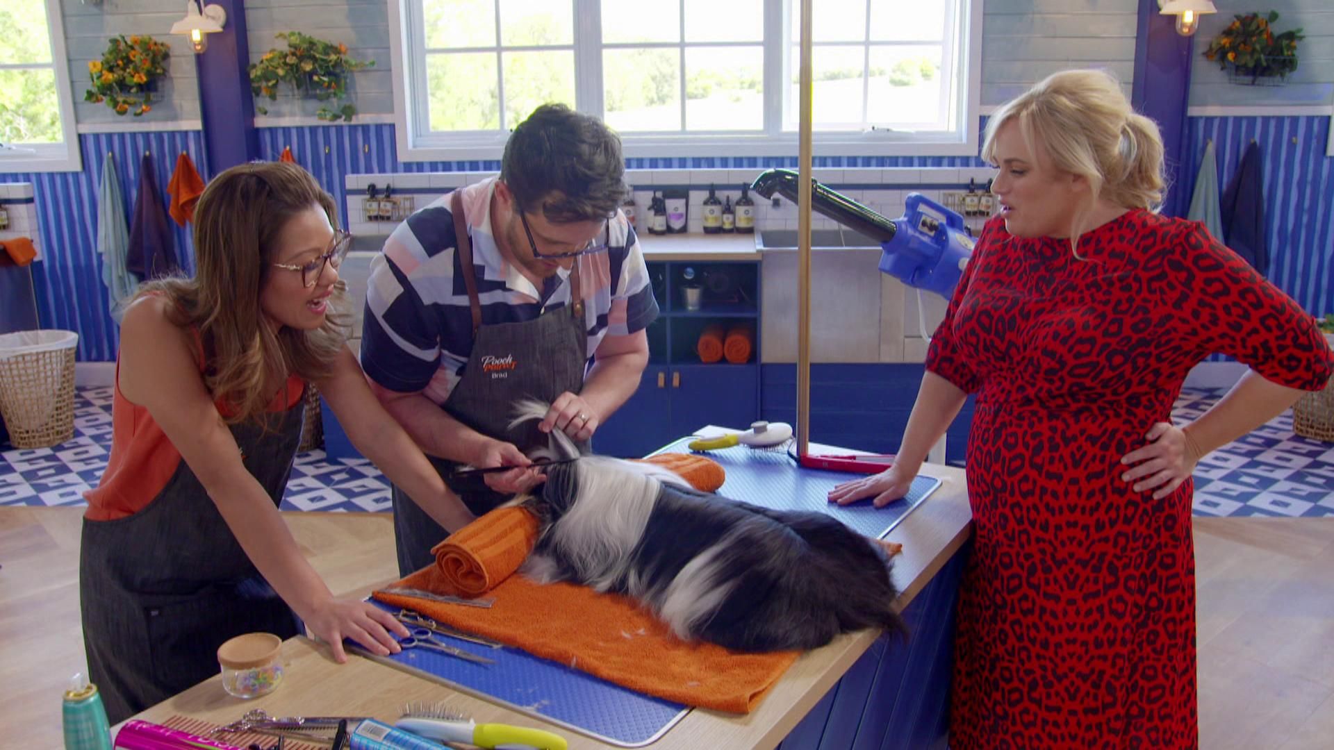 Pooch Perfect Australia - S1 - Aflevering 3