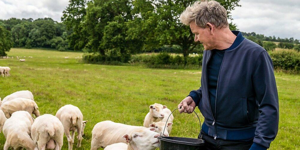 Gordon Ramsay's Future Food Stars USA - S2 - Aflevering 4