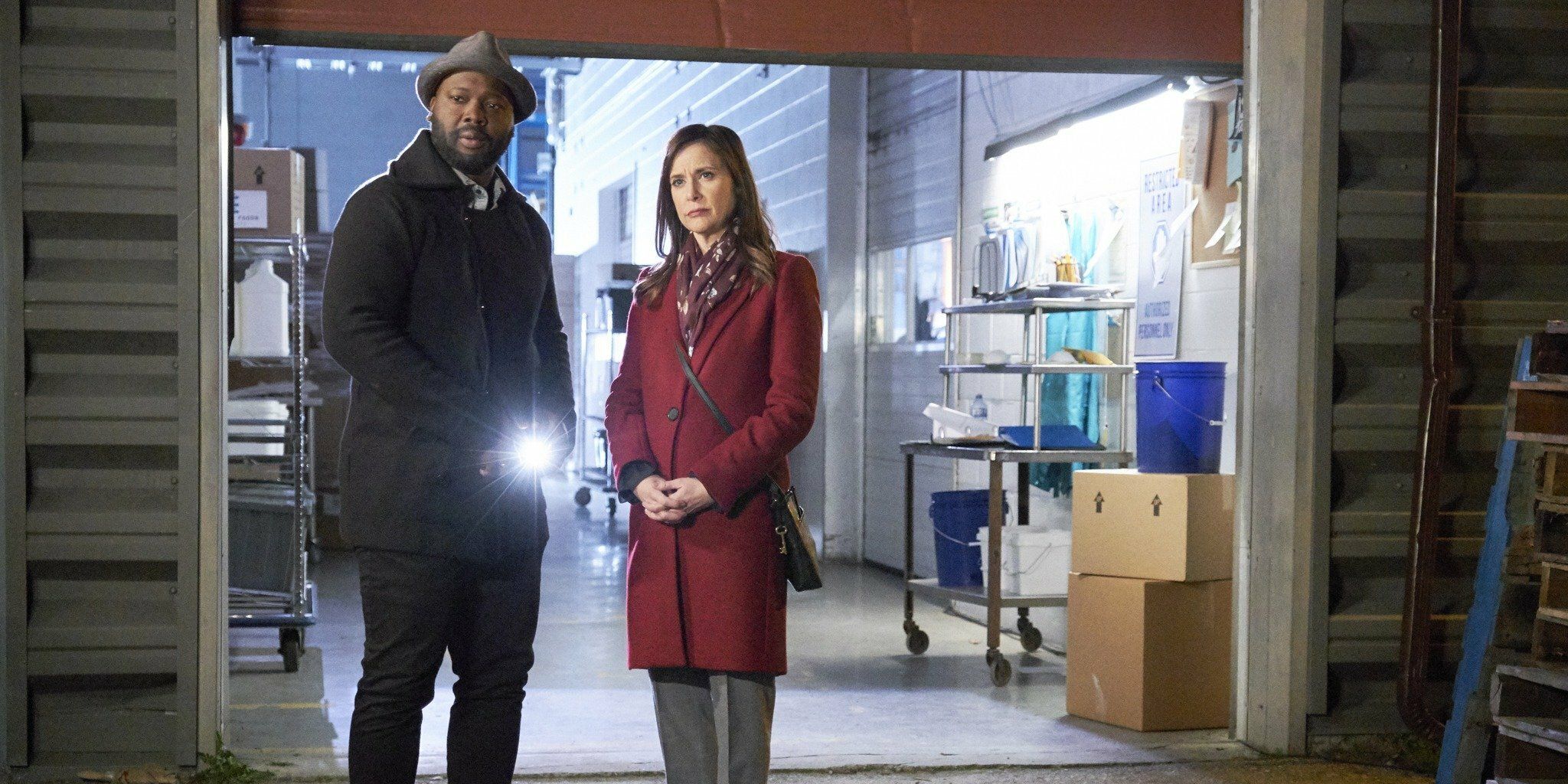 Hailey Dean Mysteries: Death on Duty