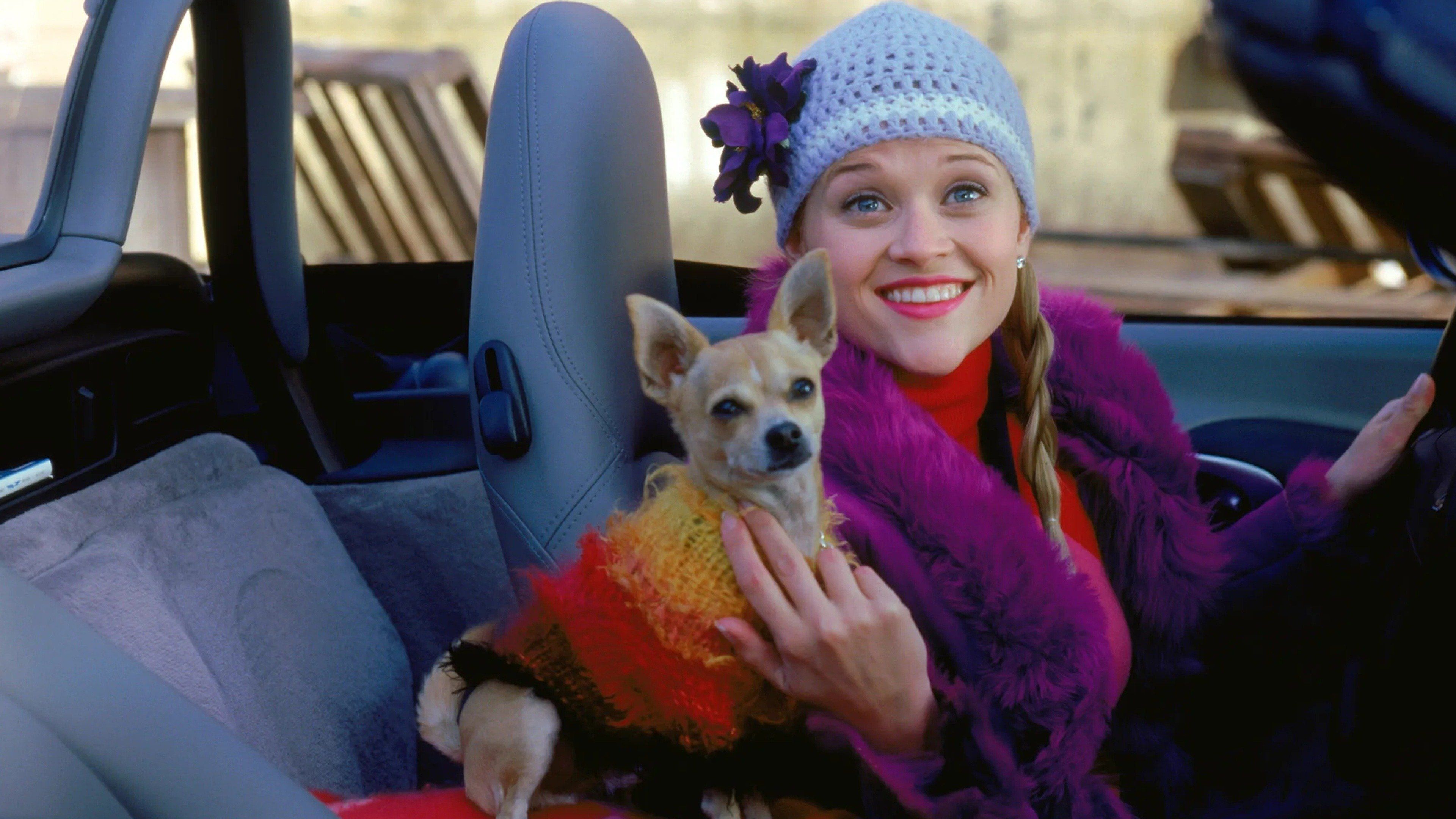 Legally Blonde 