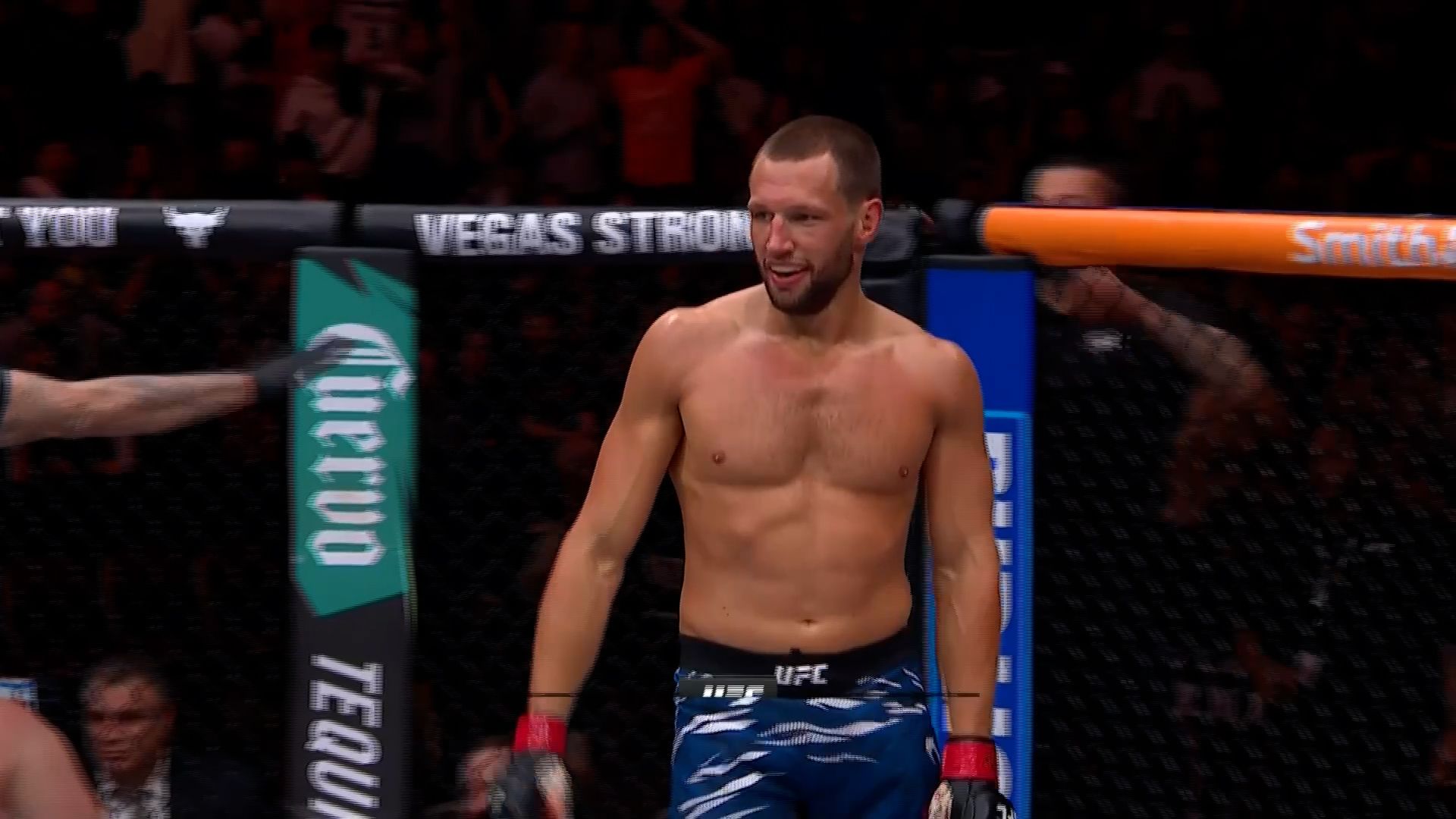 UFC Fight Night: TKO de Ridder