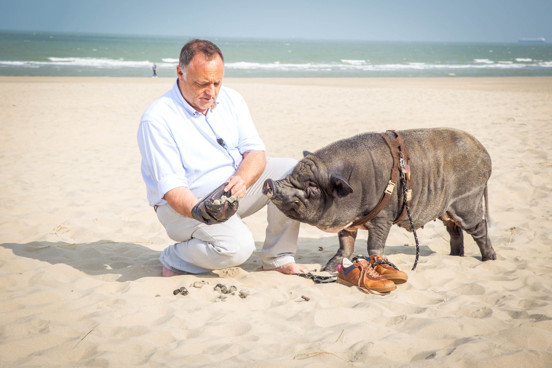 Met Marc Van Ranst op zoek naar truffels in Blankenberge｜Dag 11 op de Evanna