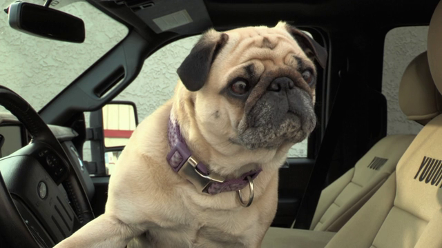 Storage Wars - S10 - Aflevering 16