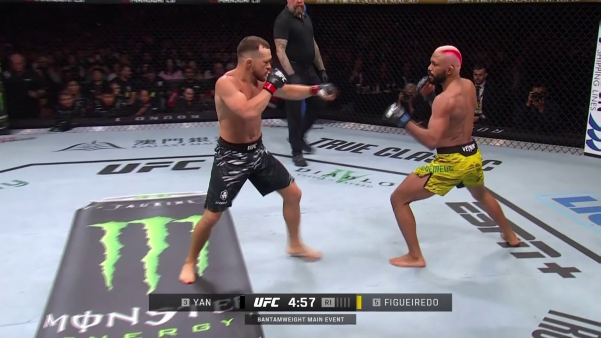 UFC Fight Night: samenvatting Yan vs. Figueiredo