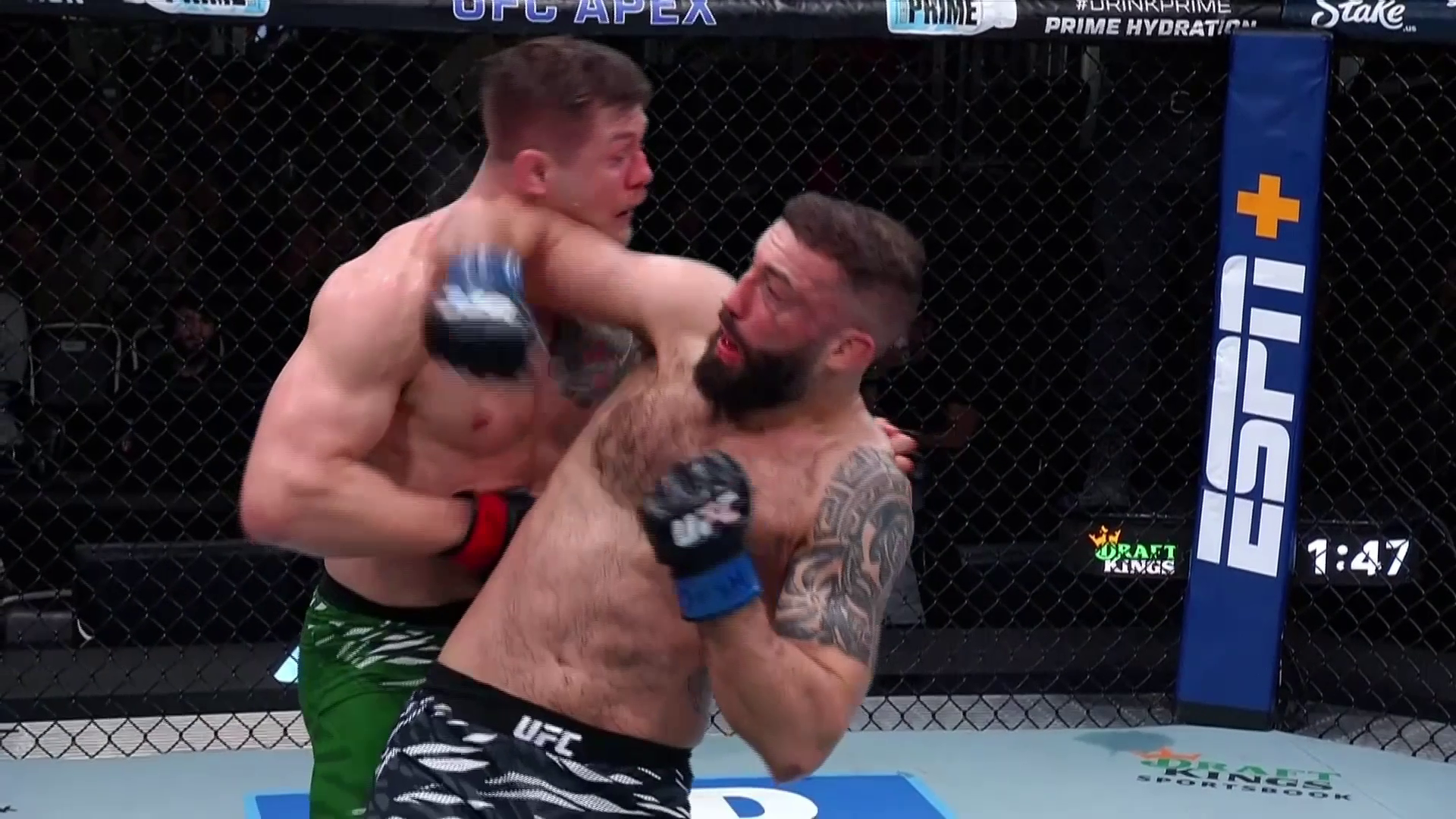 Samenvatting UFC Fight Night 254