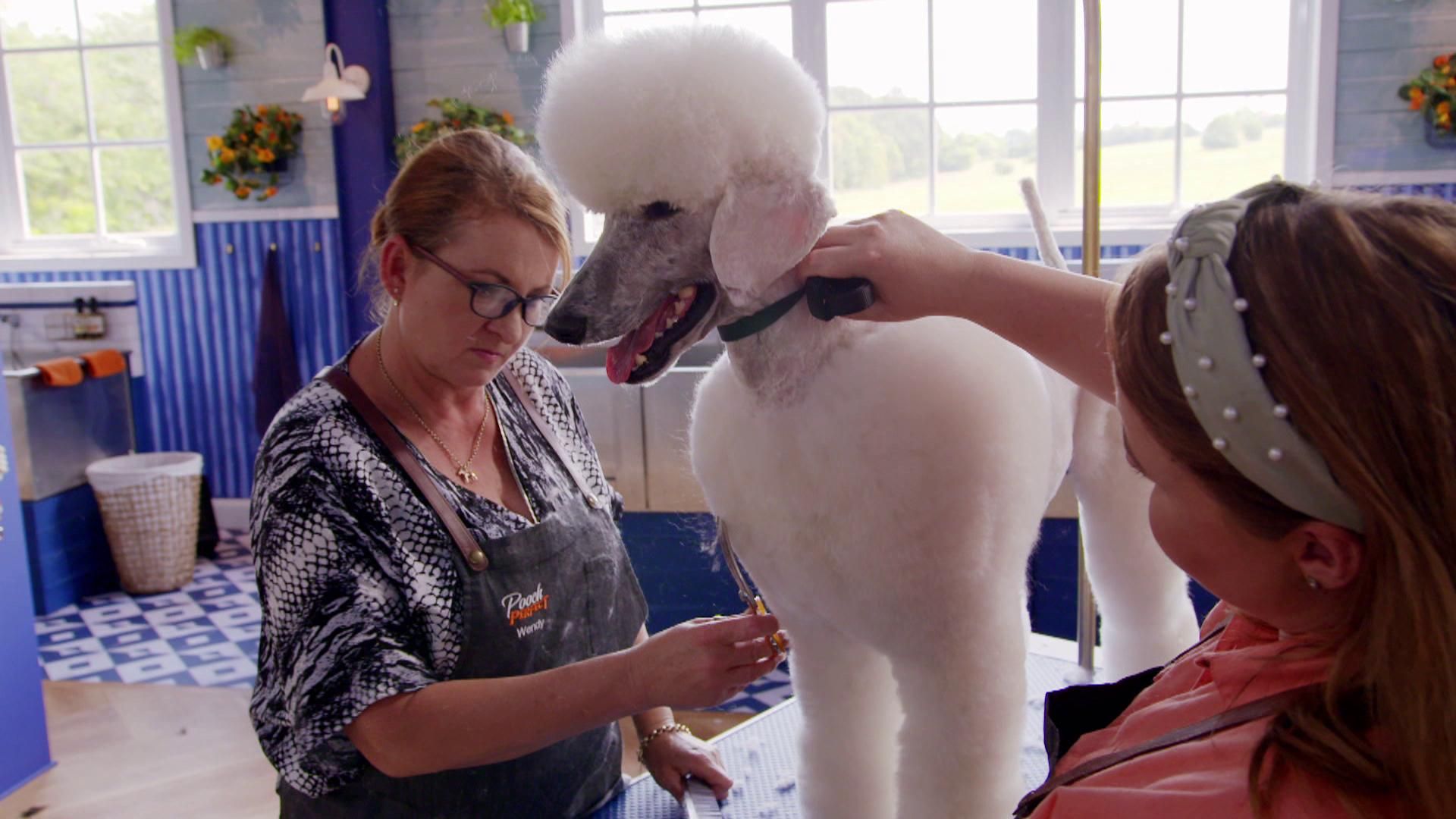 Pooch Perfect Australia - S1 - Aflevering 4