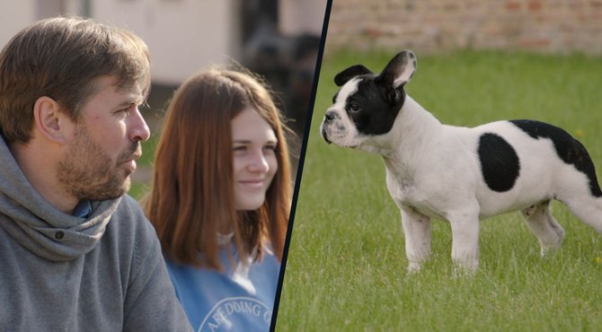 Puppymatch voor Kato na diagnose diabetes: “Op halve week 12 kilo afgevallen”