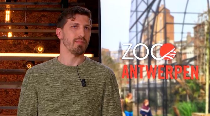 Jonas Spruyt, nieuwe dierenarts van de Zoo: “Chimpanees gooien soms met mest”