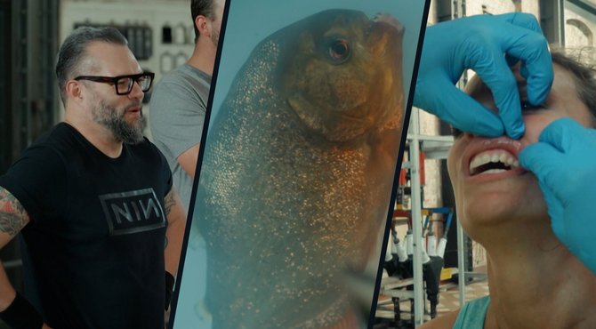 Het gaat mis in Alex Agnew’s Fear Factor: “Ik ben gebeten” 