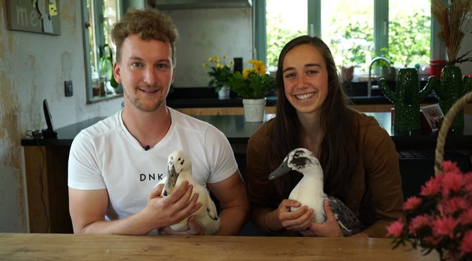 Ellen, Ewout en hun 15 dieren zoeken een vakantieparadijs in de Vlaamse Ardennen