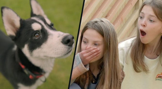 Tranen vloeien bij tweelingmeisjes wanneer superschattige puppy binnenhuppelt