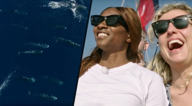 Fenomenaal moment in Over De Oceaan: gigantische school dolfijnen tonen zich