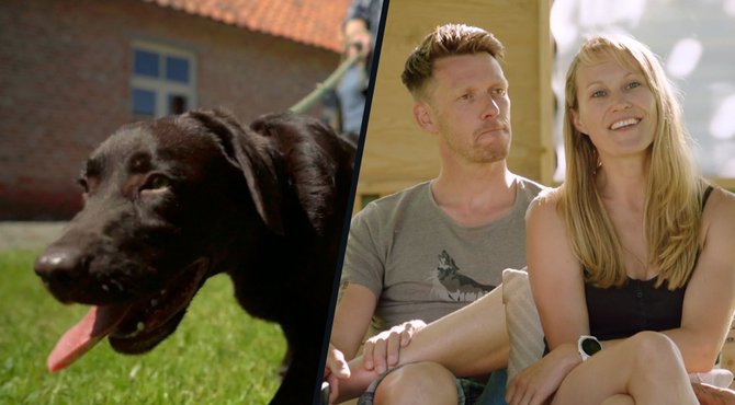 Niet eenvoudig: koppel moet hun 2 honden laten matchen met een derde hond