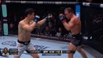 UFC 310: samenvatting Landwehr VS Choi