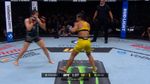 Samenvatting UFC 315: Alexa Grasso VS Natalia Silva