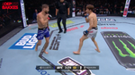 UFC 317 Tim Elliott VS Kai Asakura