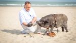 Met Marc Van Ranst op zoek naar truffels in Blankenberge｜Dag 11 op de Evanna