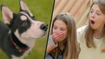 Tranen vloeien bij tweelingmeisjes wanneer superschattige puppy binnenhuppelt