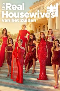 The Real Housewives van het Zuiden