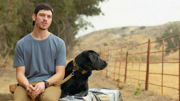 America's Top Dog