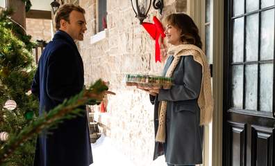 The Enchanted Christmas Cake