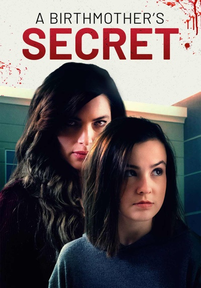 A Birthmother's Secret