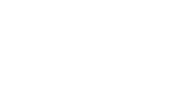 Vik & Gert